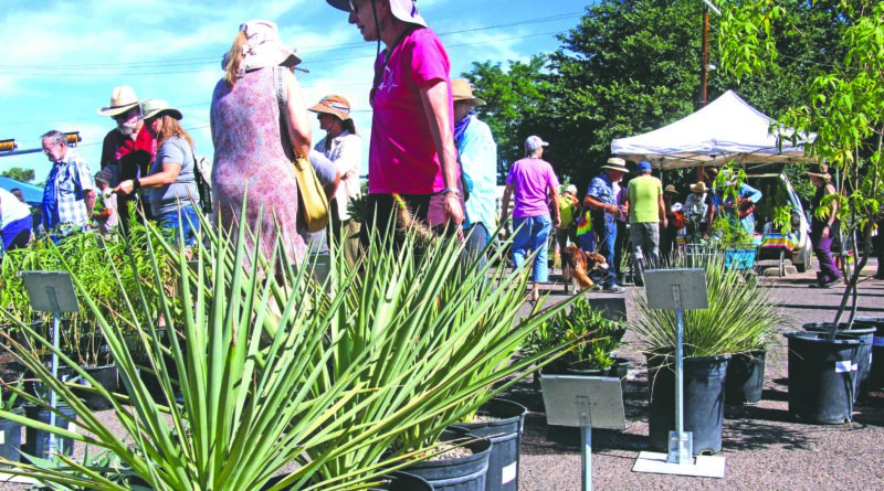 Gila Native Plant sales help gardeners, the environment