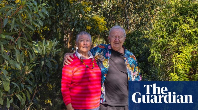 'We actually live in the forest': how one couple naturally cooled their home